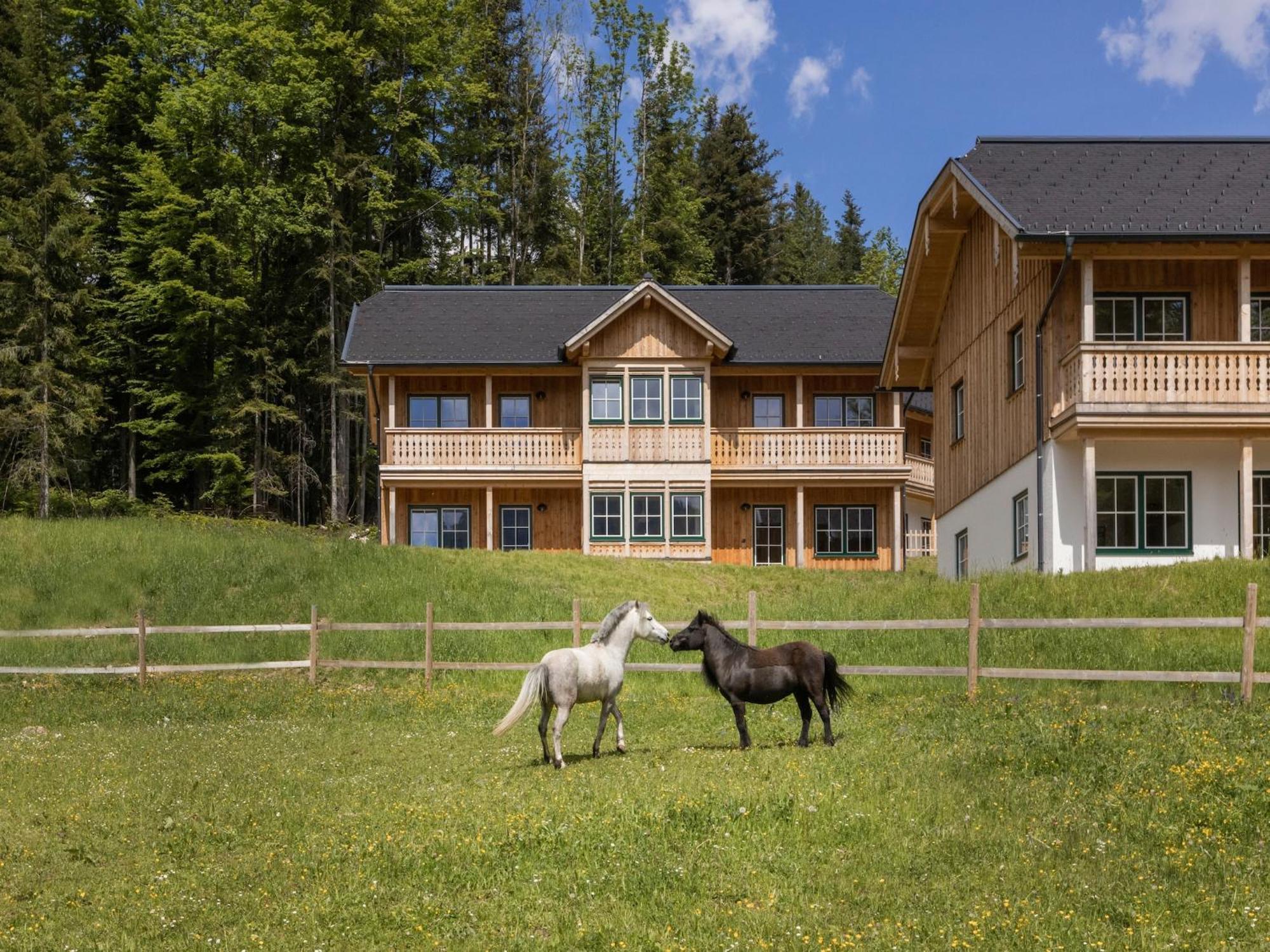 Exclusive Apartment With Sauna & Mountain Panorama Grundlsee Exterior foto